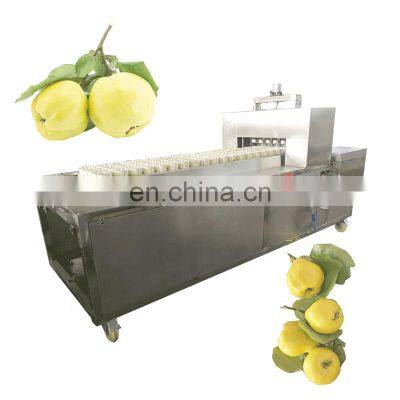 Professional manufacturer of Quinces Core Removing Machine