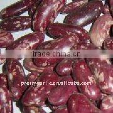 Purple Speckled Kidney Bean(PSKB)crop 2011