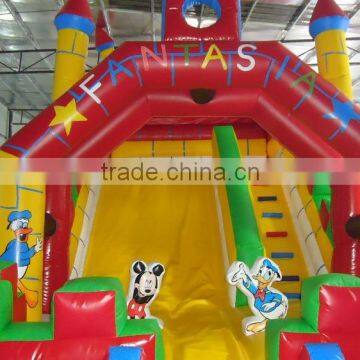 Top Quality Cheap Inflatable Water Slides for Sale photo-4