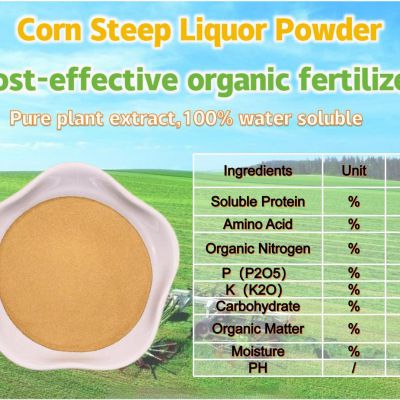 Corn Steep liquor Powder  Factory direct sales