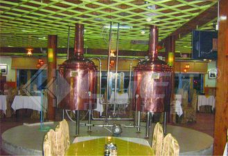 Premium Copper Tower Brewing Equipment for Home Breweries and Small-Scale Production