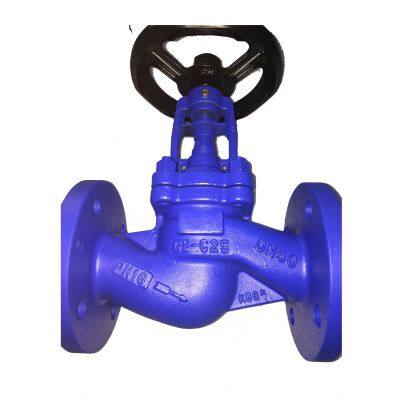 DIN Cast Steel Bellows Seal Globe Valve, DN15-400 Size Range, PN16/PN25/PN40 Pressure