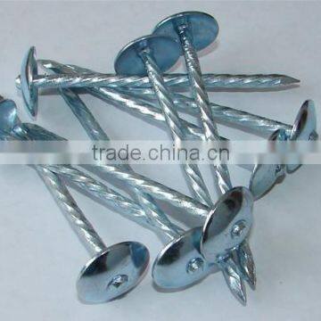 galvanized roofing nails