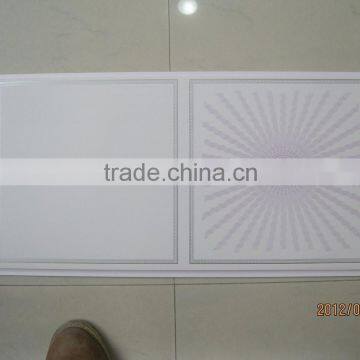 Oumega P363 Transfer Printing PVC Panel photo-2