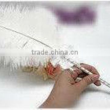 Feather Pen Wedding Gift