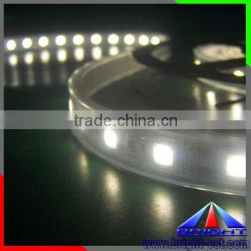 Hot Sale LED Lights 60 LED SMD 5050 Natural White LED Flexible Strip