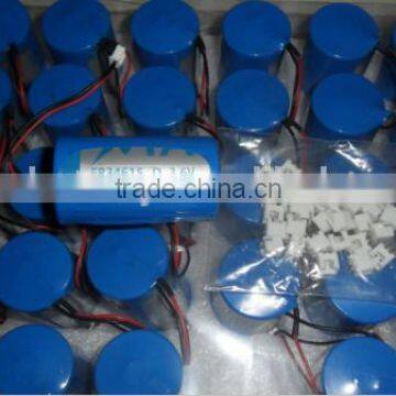ER34615 D Battery/