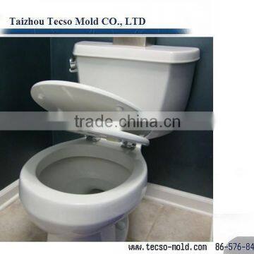 Plastic Mould ,China Mould ,plastic Toilet Seat /toilet Cover Mould photo-4