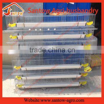 Best quality promotional full automatic quail cages for sale