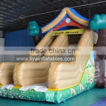 Large Amusement Park Inflatable Water Slide for Sale