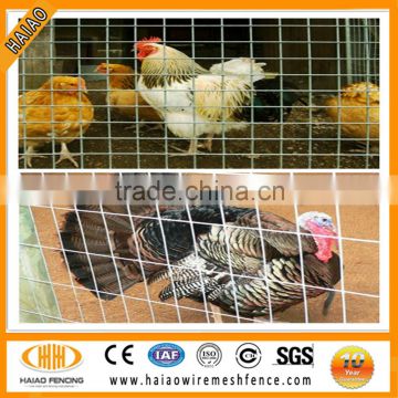 China professional cheap small hole chicken wire mesh/wire mesh for chicken coop