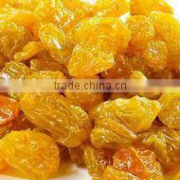 jumbo golden raisins