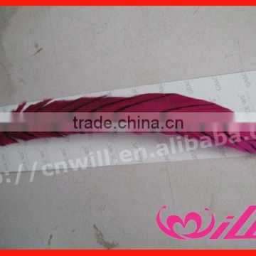 Fashion Crazy Big Feather Feather Hair Extension Clip In Feather Headwear Hair Extension