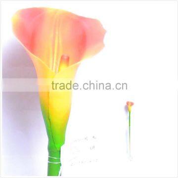 Calla Lily for Home Decor, Reddish Yellow