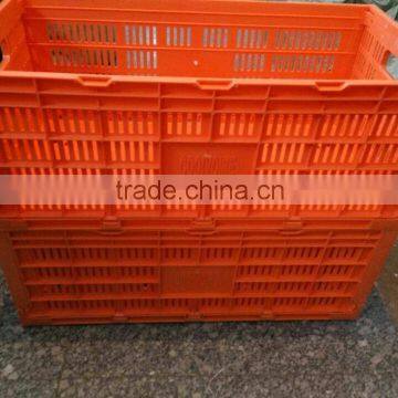 Foldable and stackable PP plastic material egg crate