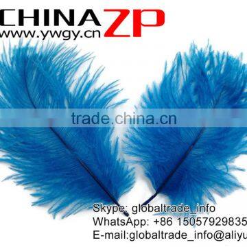 ZPDECOR No.1 Supplier in China Factory Exporting Wholesale From 6-8'' Dodger Blue Ostrich Feathers Plume photo-3
