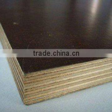 Construction Plywood/ Film Faced Plywood/shutting Plywood