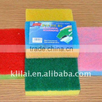 scouring pad sponge