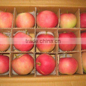chinese fresh red gala apple packed in 18 kilo/cartons