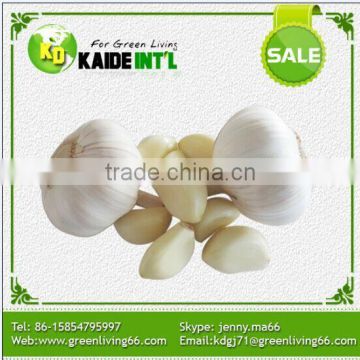 China Garlic Rates