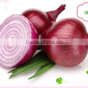 Fresh onion crop 2014