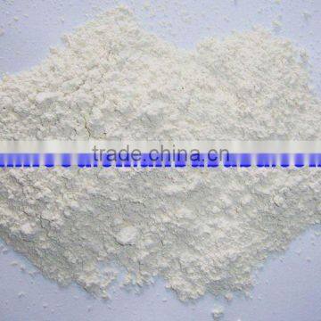 Garlic Powder of dehydrated