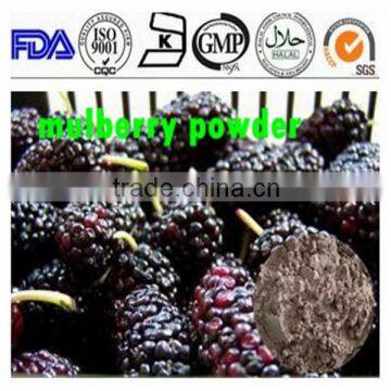 100% natural Mulberry fruit extract purple black powder