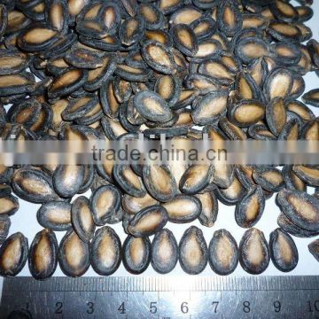 Black Watermelon Seed ( raw/spiced )