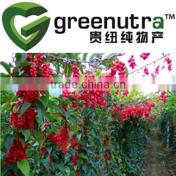 Chinese magnoliavine fruit Extract /Schisandra Chinensis extract