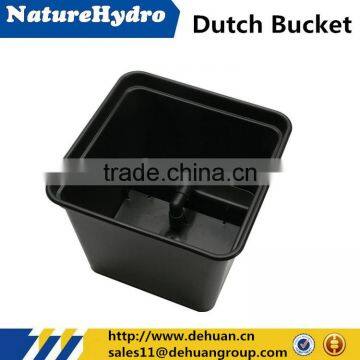 Planting greenhouse dutch bucket