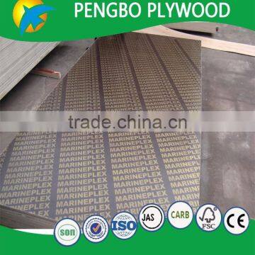 Bridge Plywood for Construction 18mm photo-4
