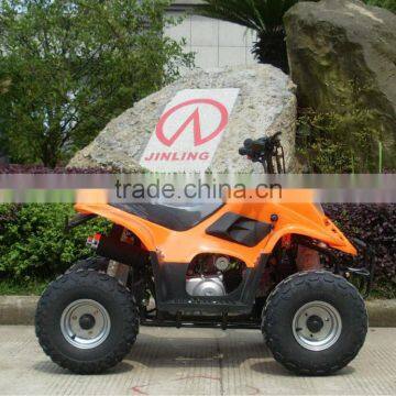 (JLA-02-01)mini Gas Powered Atv Cheap 110cc Mini Atv for Sale photo-5