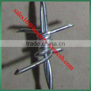 2016 Cheap Electro Galvanized Barbed Wire On Sale photo-4