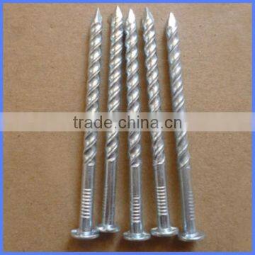 Spiral Roofing Finishing Nail From Guangzhou Supplier photo-2