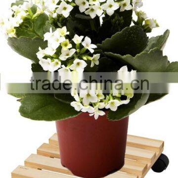China Gardening Tool Products Wholesale Home Flat Cart photo-2