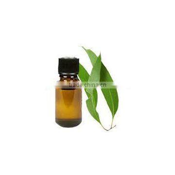 Eucalyptus Oil photo-2