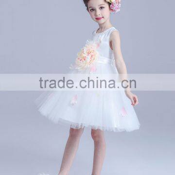 2017 Fancy Dress Competition Children Frocks Dress for Girl 5 Years photo-5