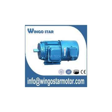 Induction Electric Motor