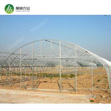 Top Quality China Single Span Polyethylene Film Greenhouse Manufacturer