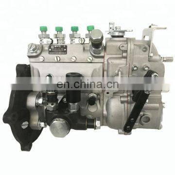 Injection Pump 10 400 874 064 10400874064 for R4105 Engine