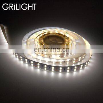 New garden lamp 600leds per roll smd 5050 led double row led strip