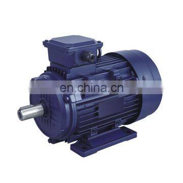 Y2 Series electric three-phase 3 phase electric asynchronous motor