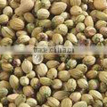 Coriander Seed 99% purity best quality