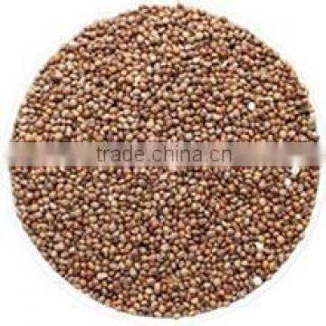 High crop organic perilla seeds
