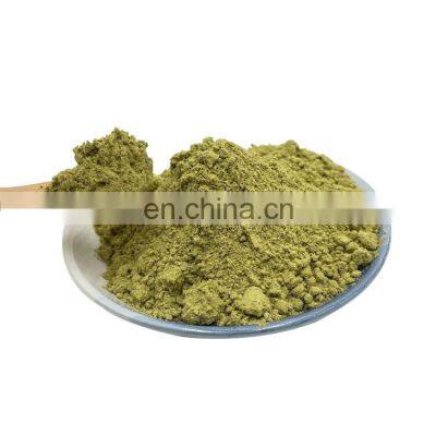 Manufacturers selling Ginkgo biloba powder and Ginkgo biloba extract