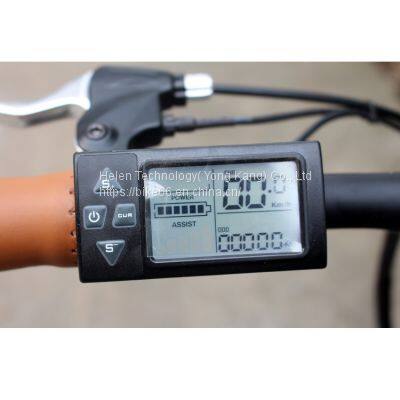 1000W Big Power Electric Folding Bike Electric Bicycles photo-3