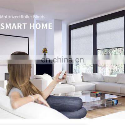 Automatic Blind Remote Smart Motorized Electric Solar Panels Shade Wifi Control Motorized Rolling Windows Blinds photo-2