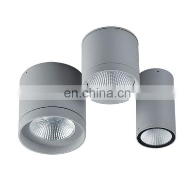 Hot Sale Surface Mounted Hotels Indoor Public Places Ceiling Cob 20w Led Downlight