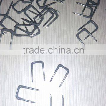 Plastic-coated Shaped Nails China Supplies photo-2