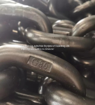 China Supply Industrial Lifting Chain photo-4